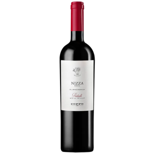 "Pontiselli" Nizza DOCG - Coppo